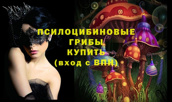 гашик Абаза