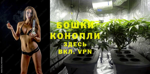 крисы Абдулино