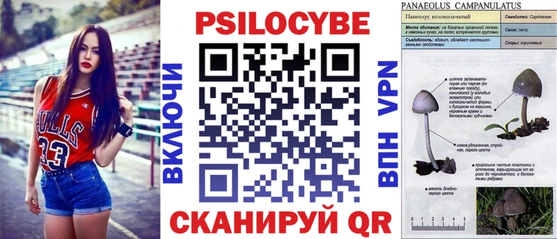 Галлюциногенные грибы GOLDEN TEACHER  площадка состав  Слюдянка  blacksprut ссылка 